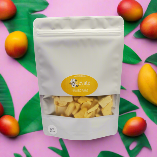 Organic Mango Snack