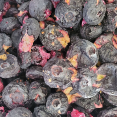 Organic Freeze Dried Blueberries
